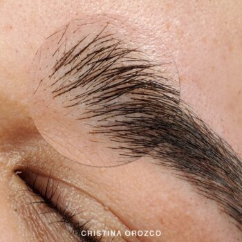 cejas04